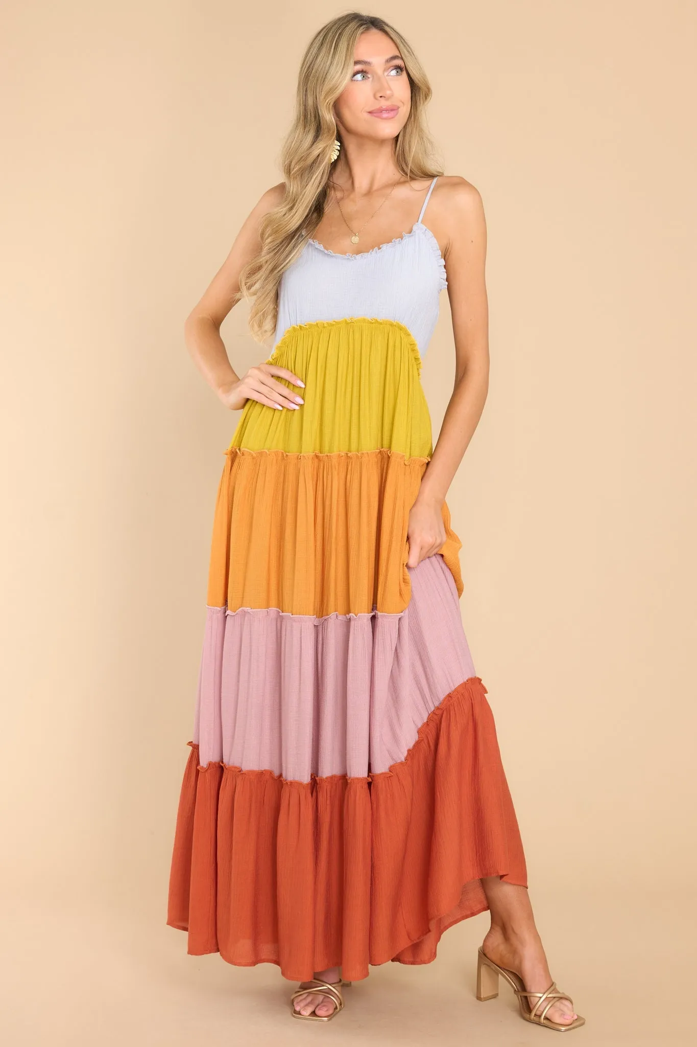 Daisy For You Rust Multi Maxi Dress