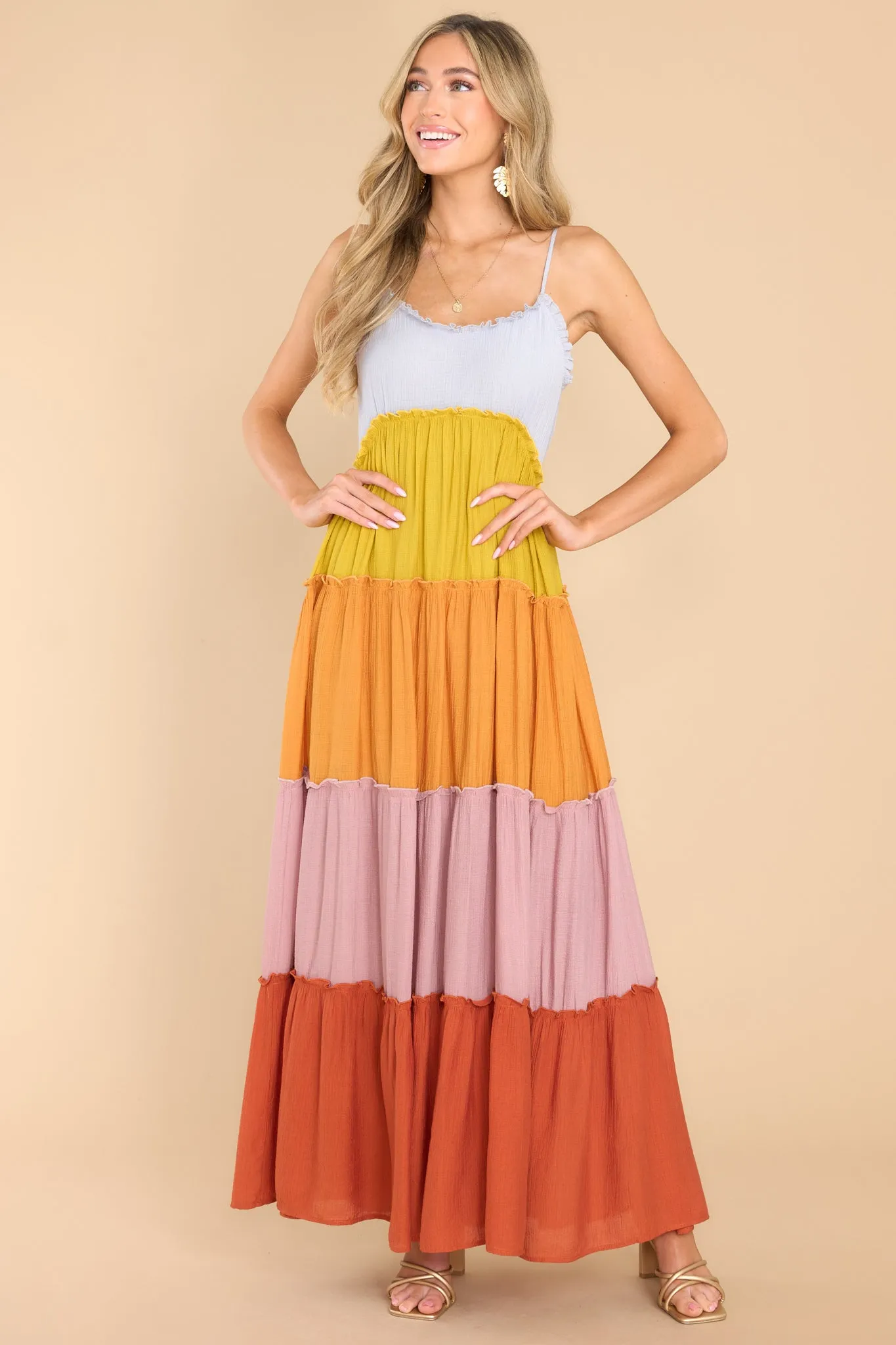 Daisy For You Rust Multi Maxi Dress